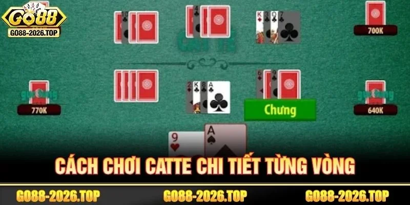 Cách chơi Catte chi tiết, đơn giản qua từng vòng.