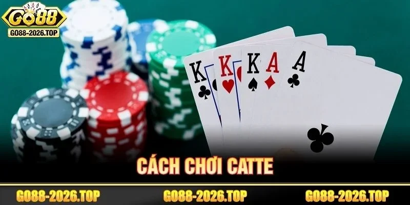 Từ A- Z Cách Chơi Catte Chuẩn Mực Cho Tân Thủ GO88