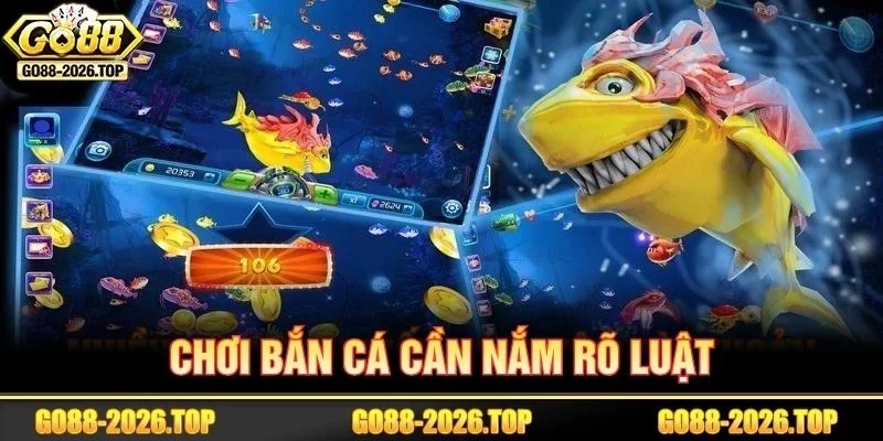 Nhập cuộc săn cá hội viên cần nắm rõ quy tắc ban đầu.