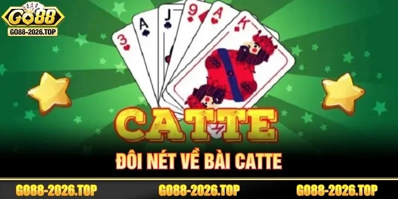 Catte có xuất xứ từ Ấn Độ và du nhập vào Việt Nam từ rất lâu.