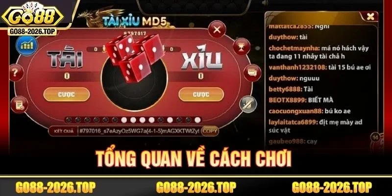 Hiểu cơ bản về cách chơi tài xỉu MD5 để tự tin sát phạt.