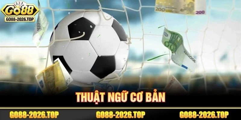 Hiểu rõ thuật ngữ bạn sẽ sát phạt bóng đá luôn thành công.