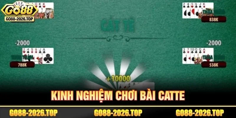 Học hỏi kinh nghiệm chơi game bài Catte từ những cao thủ lâu năm.