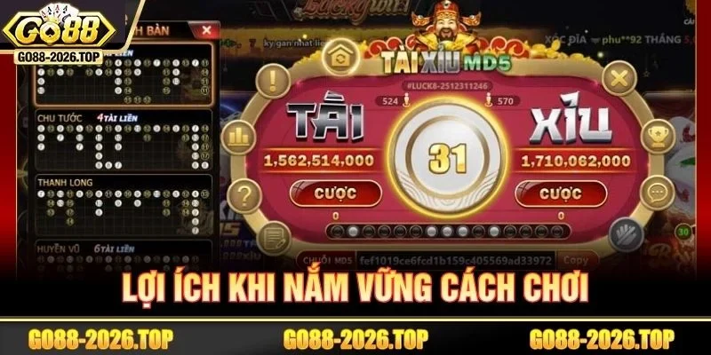 Lợi ích khi nắm vững cách chơi tài xỉu MD5.