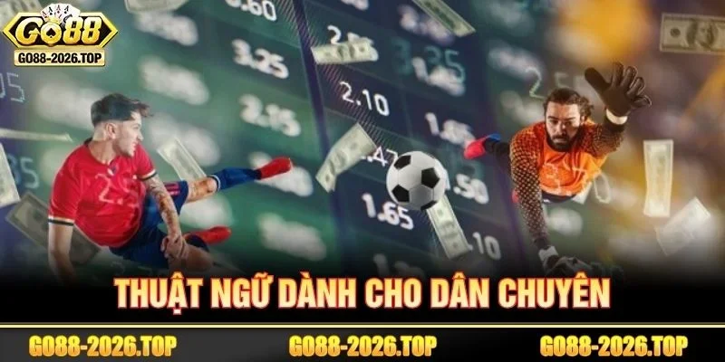 Những thuật ngữ nâng cao mà cược thủ nên biết.