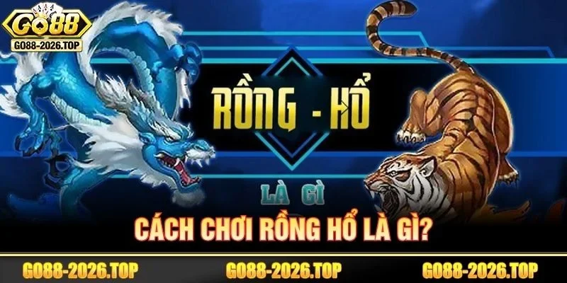 Sơ lược về cách chơi rồng hổ tại sàn cược GO88.