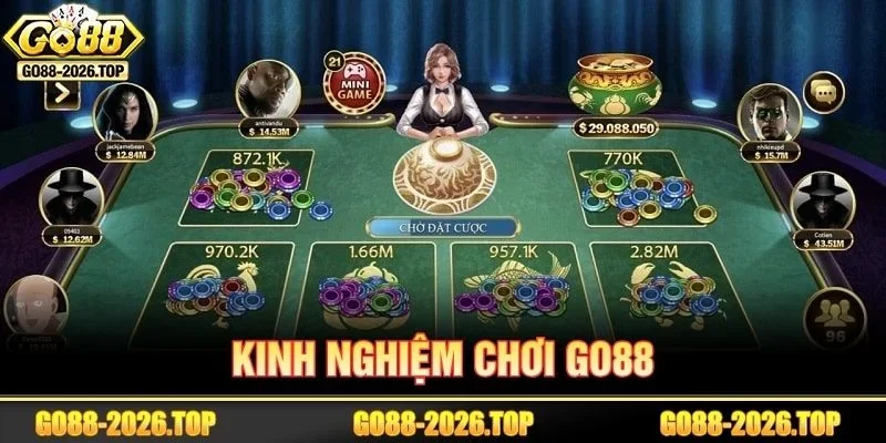 Vài lưu ý để người chơi nhập cuộc sàn cược bất bại.